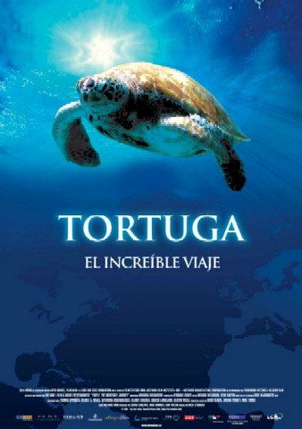 tortuga