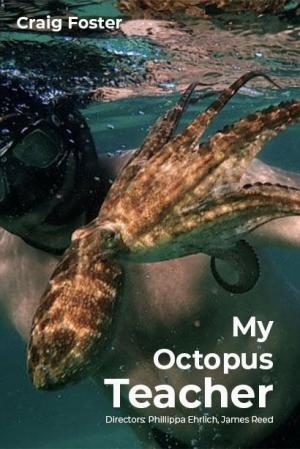 my_octopus_teacher-902842067-mmed