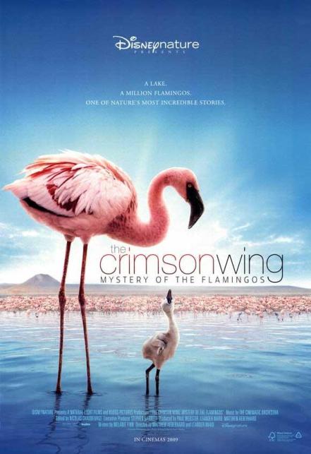 the_crimson_wing_mystery_of_the_flamingos-224458610-large